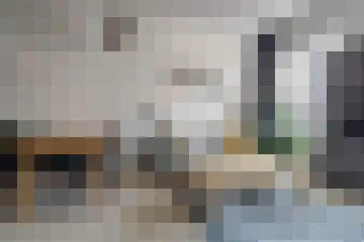 Revaleiland 12 Amsterdam thumbnail 13