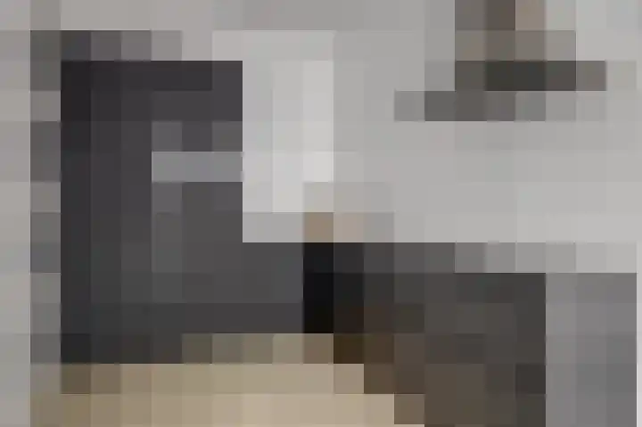Revaleiland 12 Amsterdam thumbnail 19