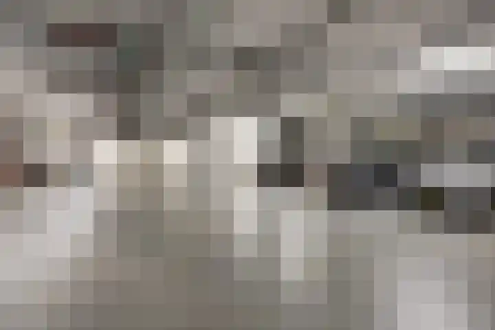 Revaleiland 12 Amsterdam thumbnail 30