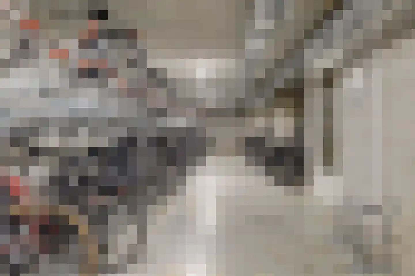 Revaleiland 12 Amsterdam thumbnail 32