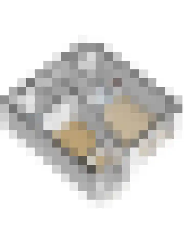 Revaleiland 12 Amsterdam thumbnail 36