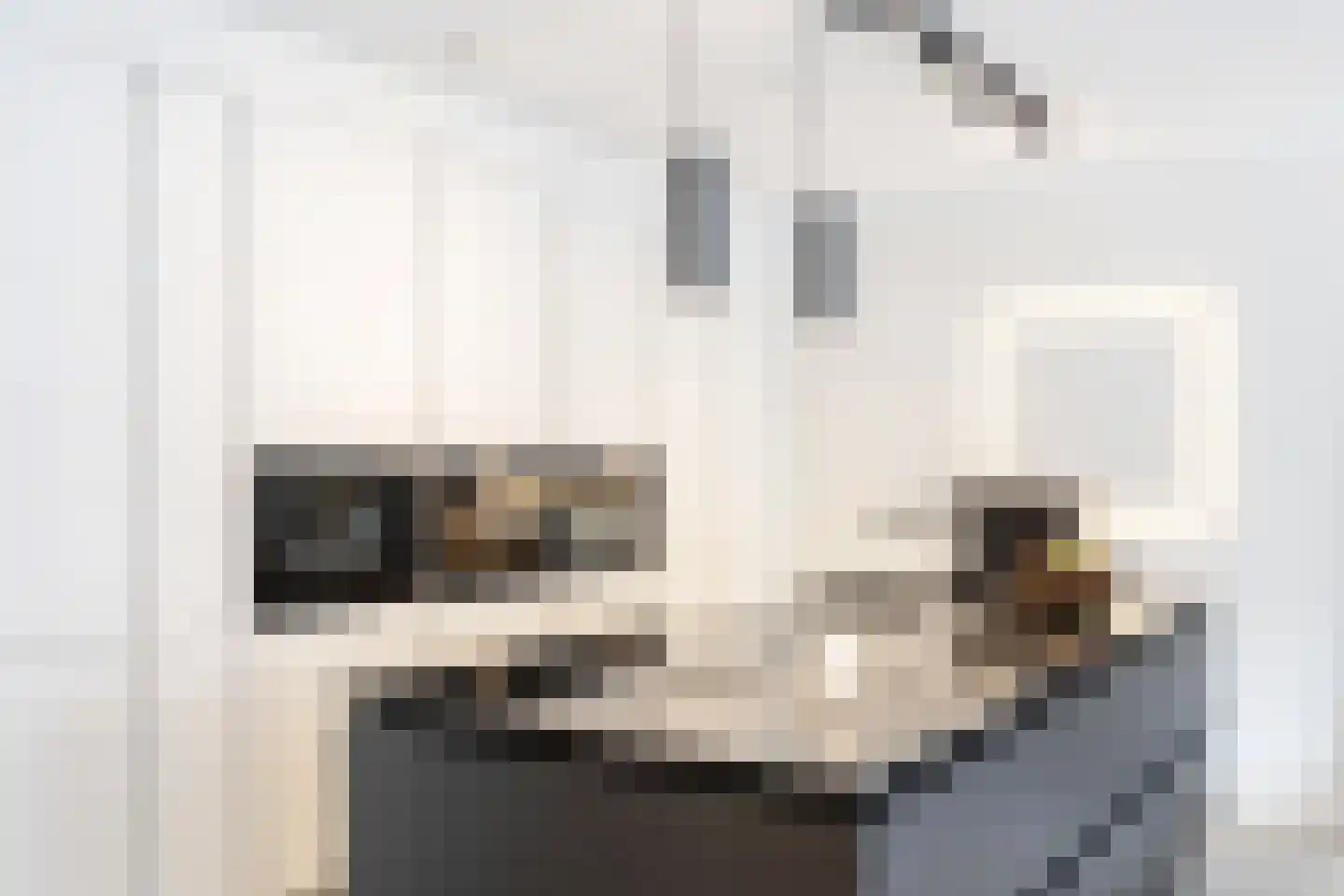 Revaleiland 375 Amsterdam thumbnail 8