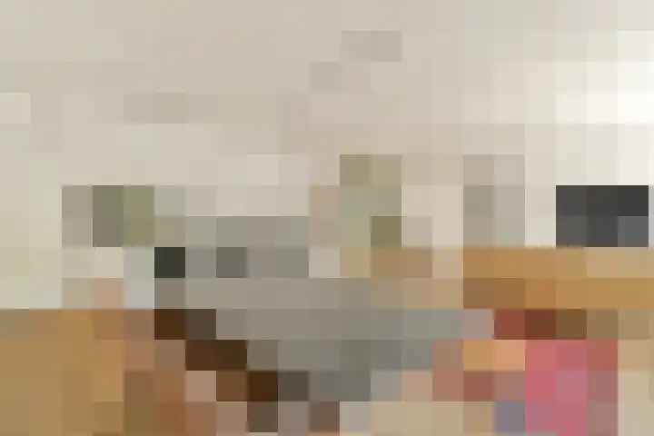 Revaleiland 377 Amsterdam thumbnail 11