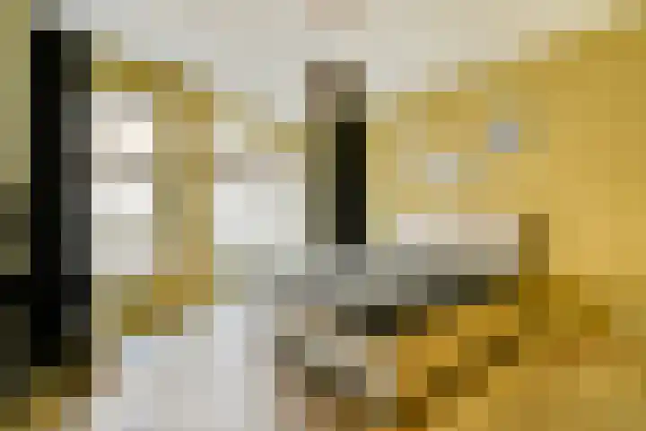 Revaleiland 377 Amsterdam thumbnail 12