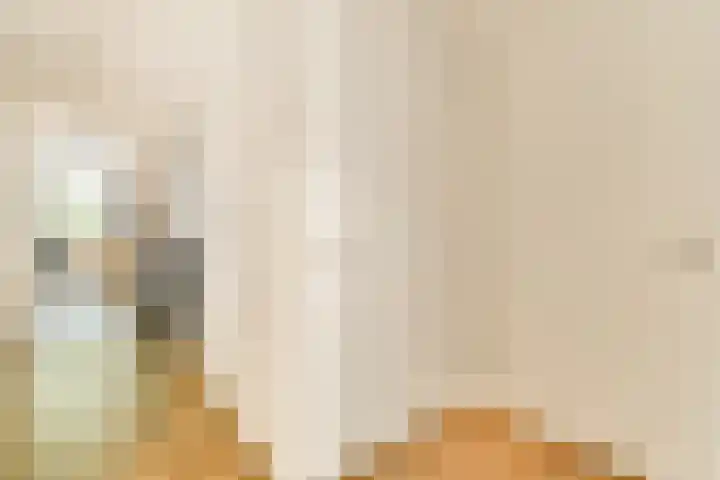 Revaleiland 377 Amsterdam thumbnail 4