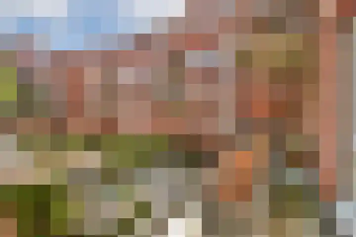 Revaleiland 377 Amsterdam thumbnail 7