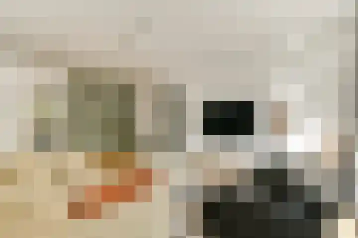 Revaleiland 377 Amsterdam thumbnail 9