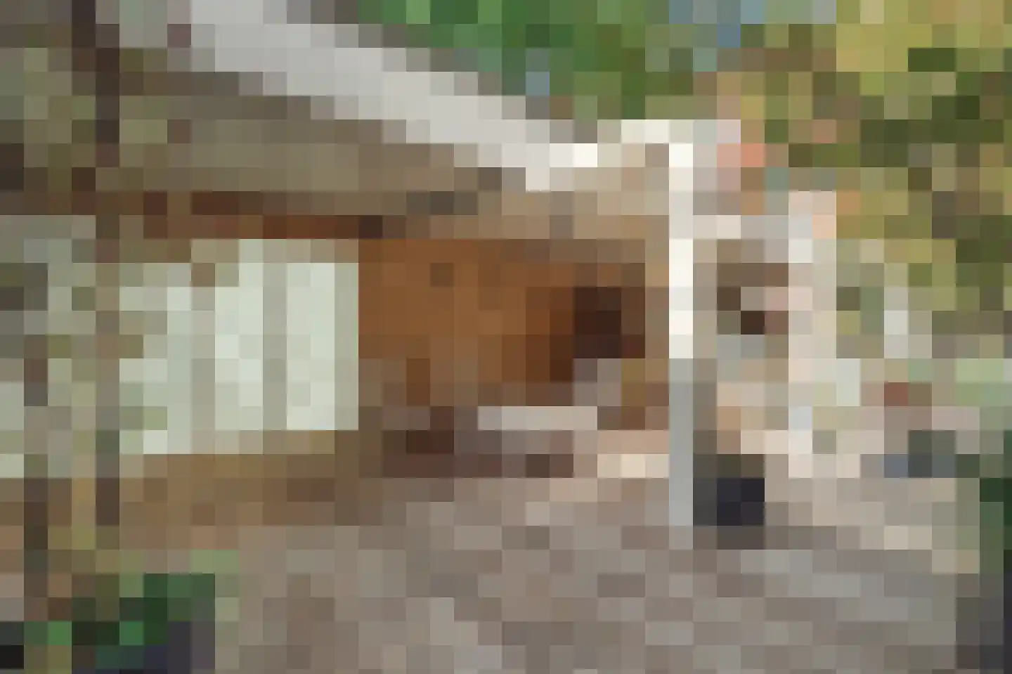 Revaleiland 406 Amsterdam thumbnail 12