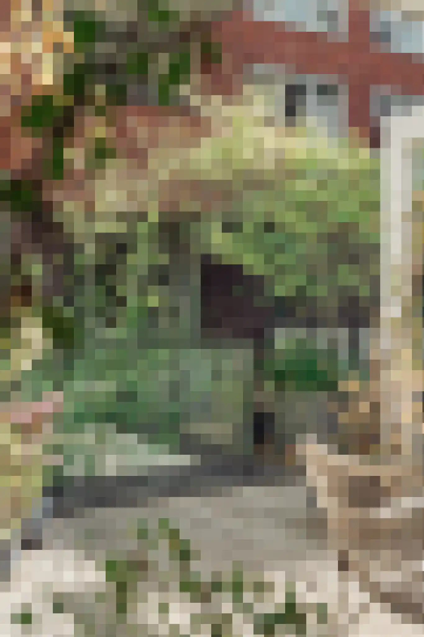 Revaleiland 406 Amsterdam thumbnail 13