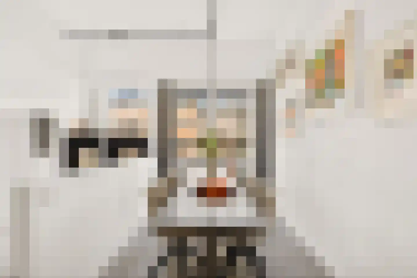 Revaleiland 419 Amsterdam thumbnail 10
