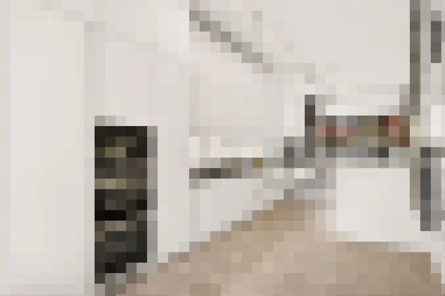 Revaleiland 419 Amsterdam thumbnail 14
