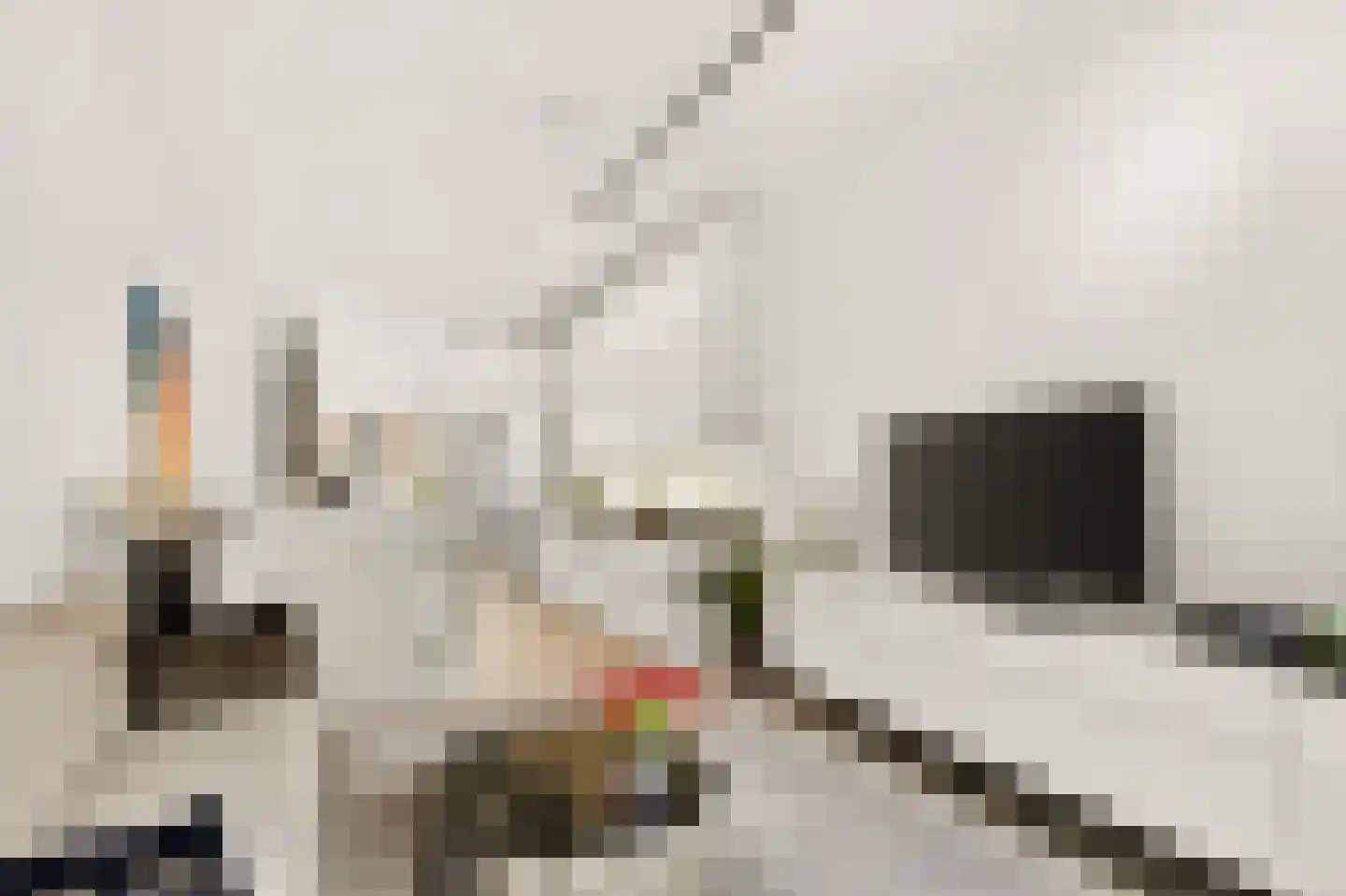 Revaleiland 419 Amsterdam thumbnail 22