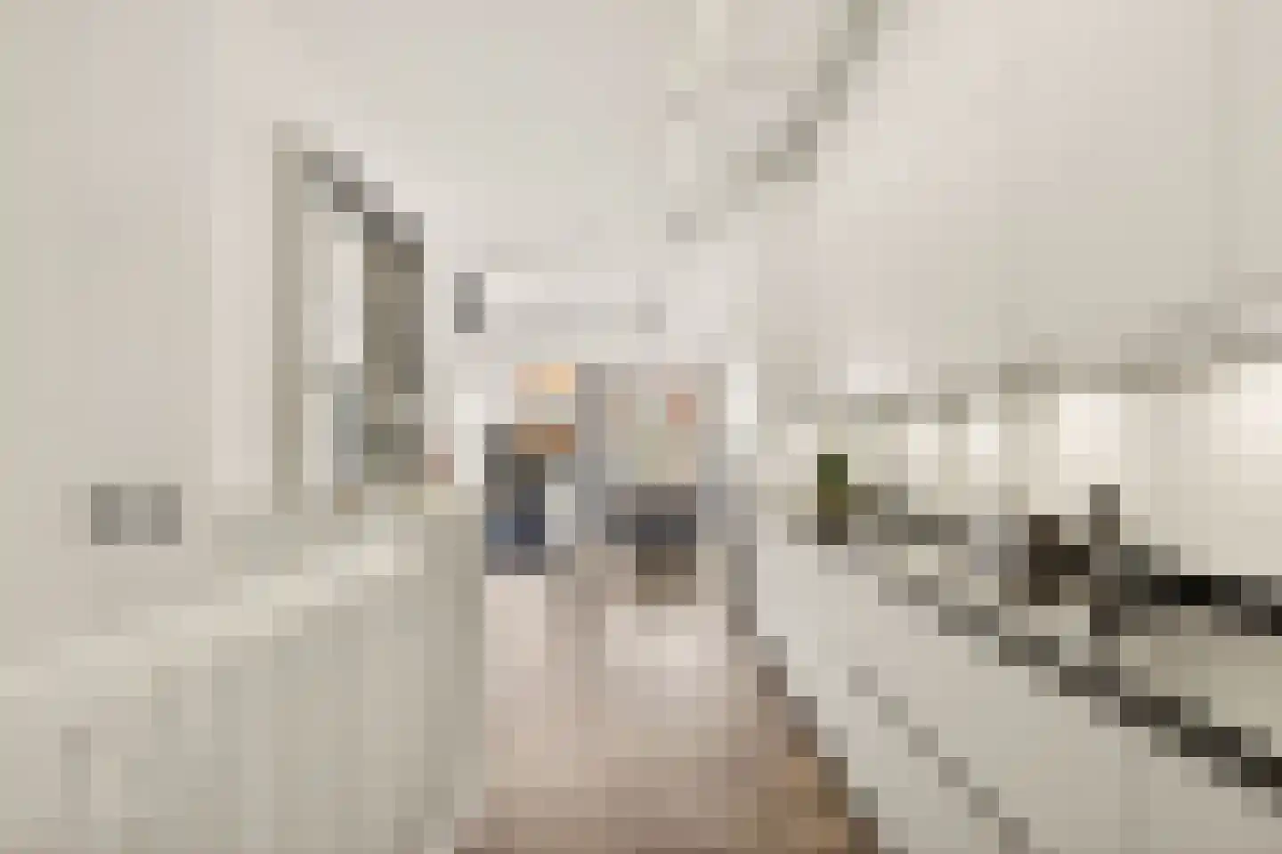 Revaleiland 419 Amsterdam thumbnail 23