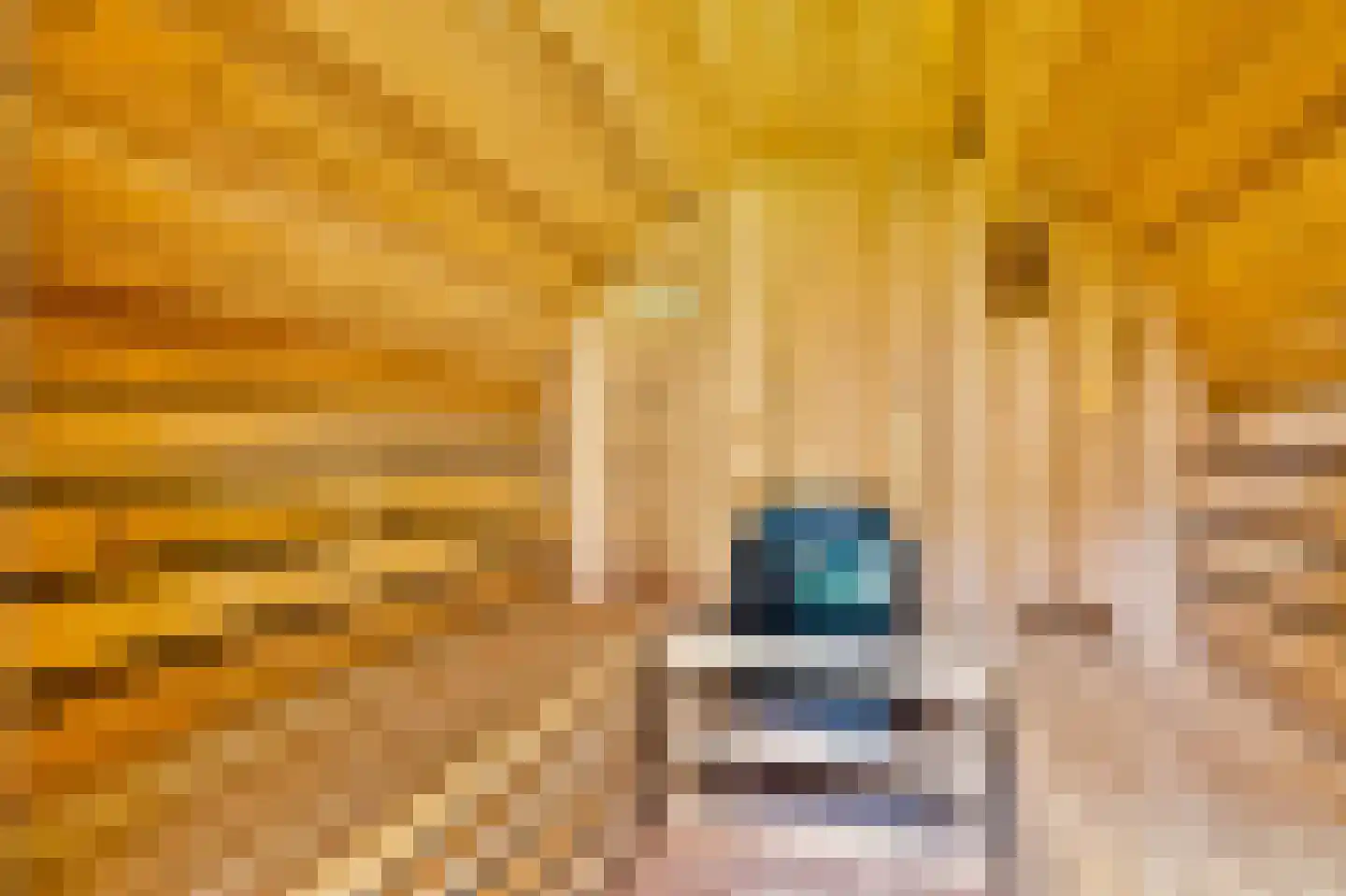Revaleiland 419 Amsterdam thumbnail 29