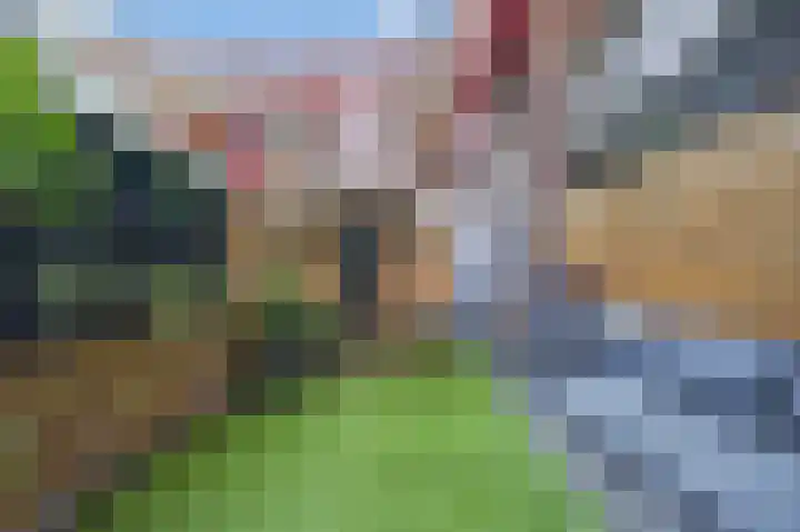 Revaleiland 419 Amsterdam thumbnail 4