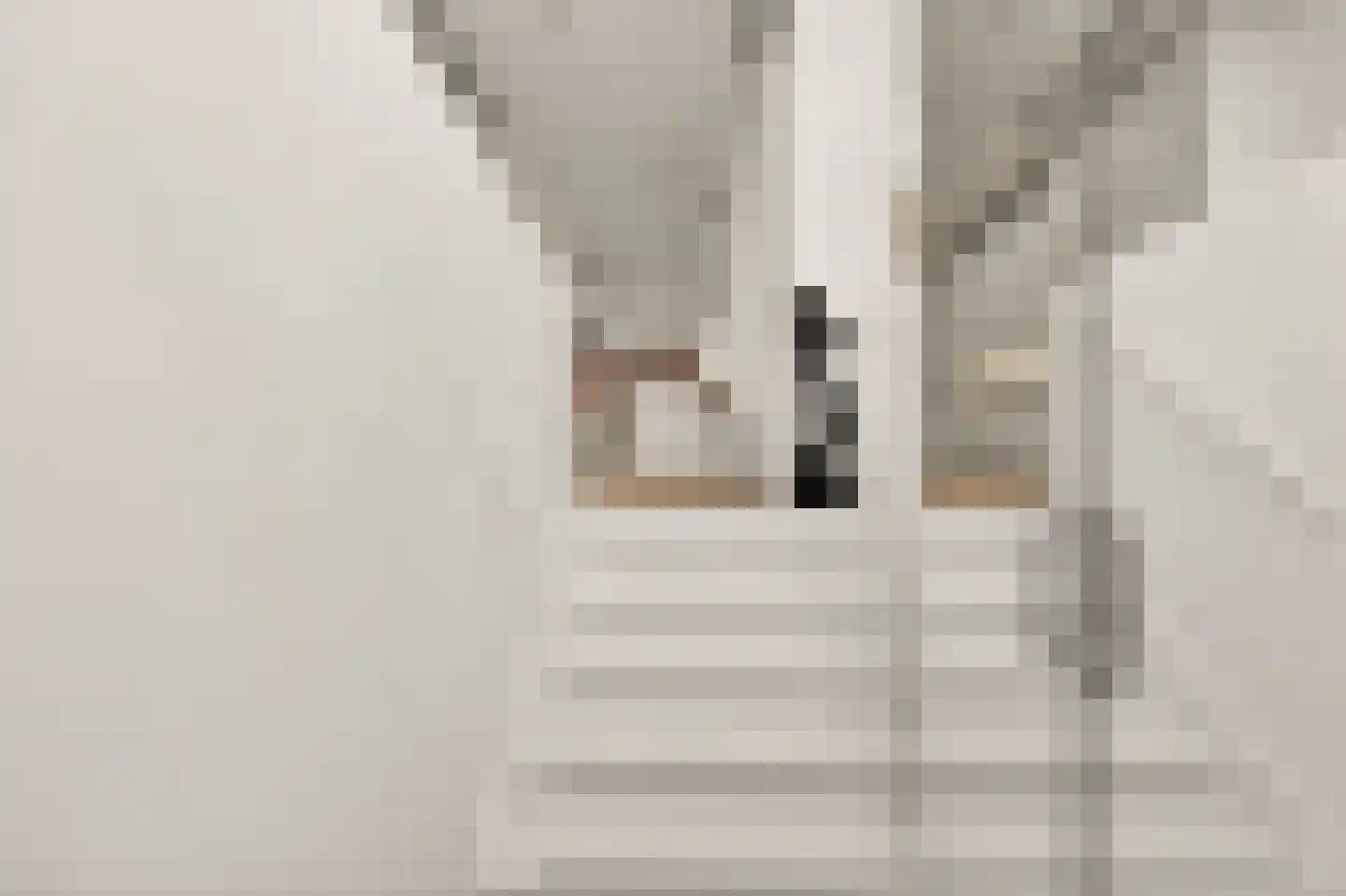 Revaleiland 419 Amsterdam thumbnail 8