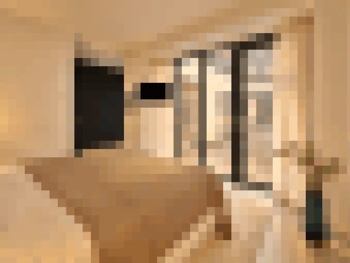Revaleiland 425 Amsterdam thumbnail 12