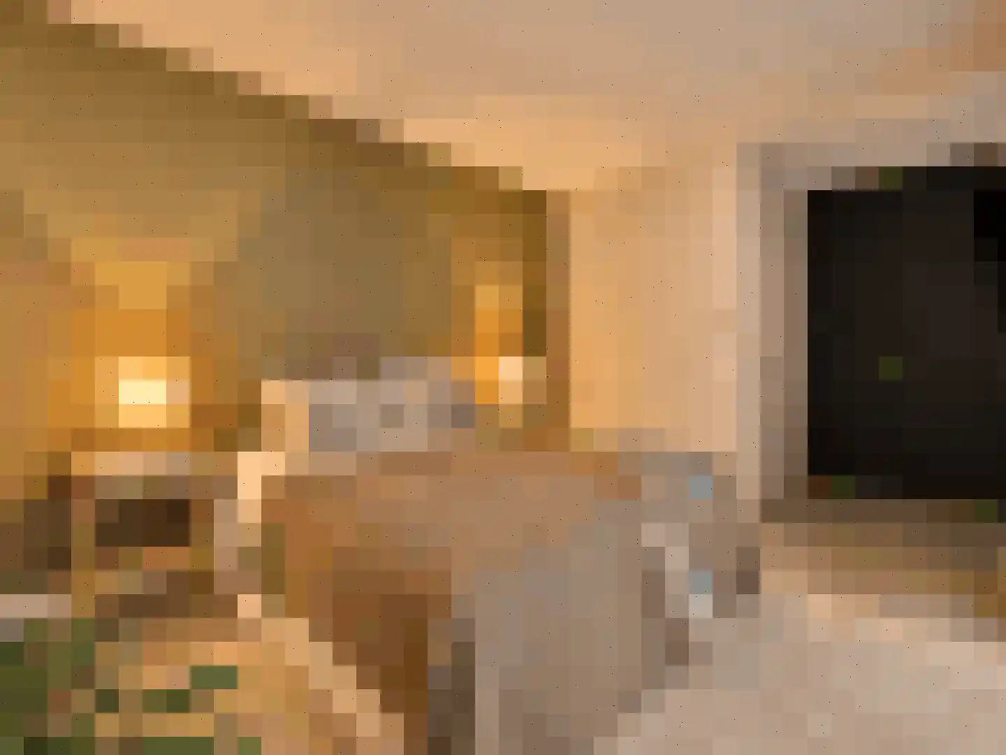 Revaleiland 425 Amsterdam thumbnail 13