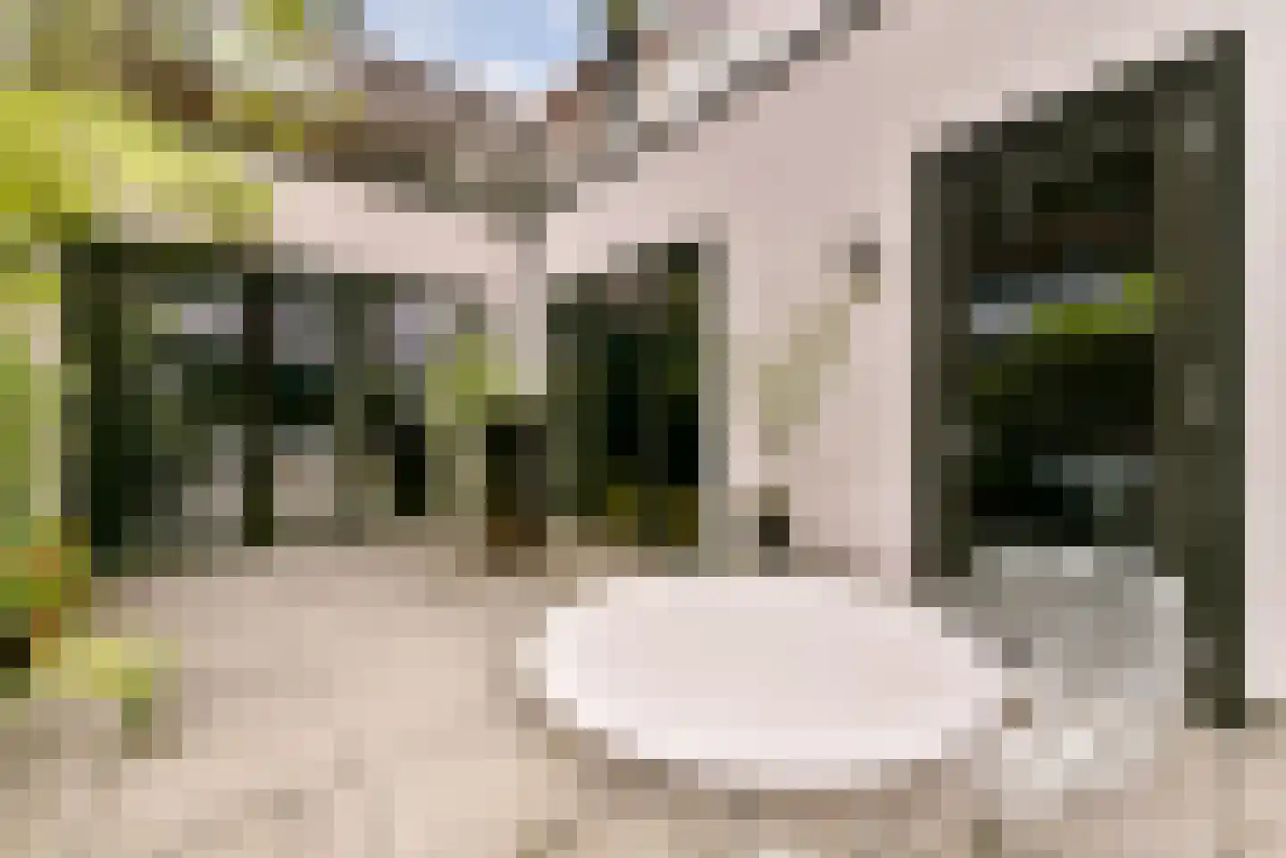 Revaleiland 425 Amsterdam thumbnail 28
