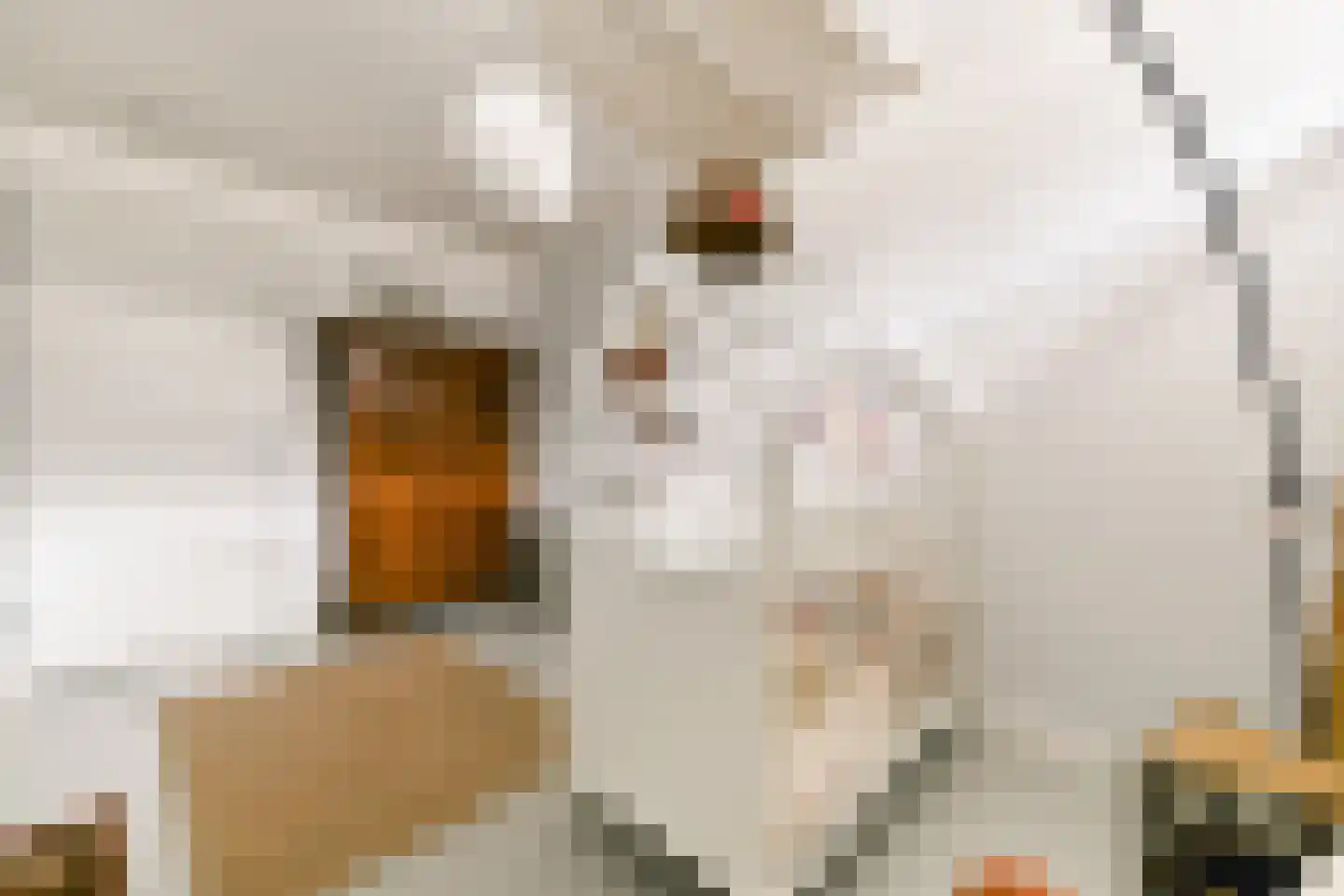Revaleiland 425 Amsterdam thumbnail 34