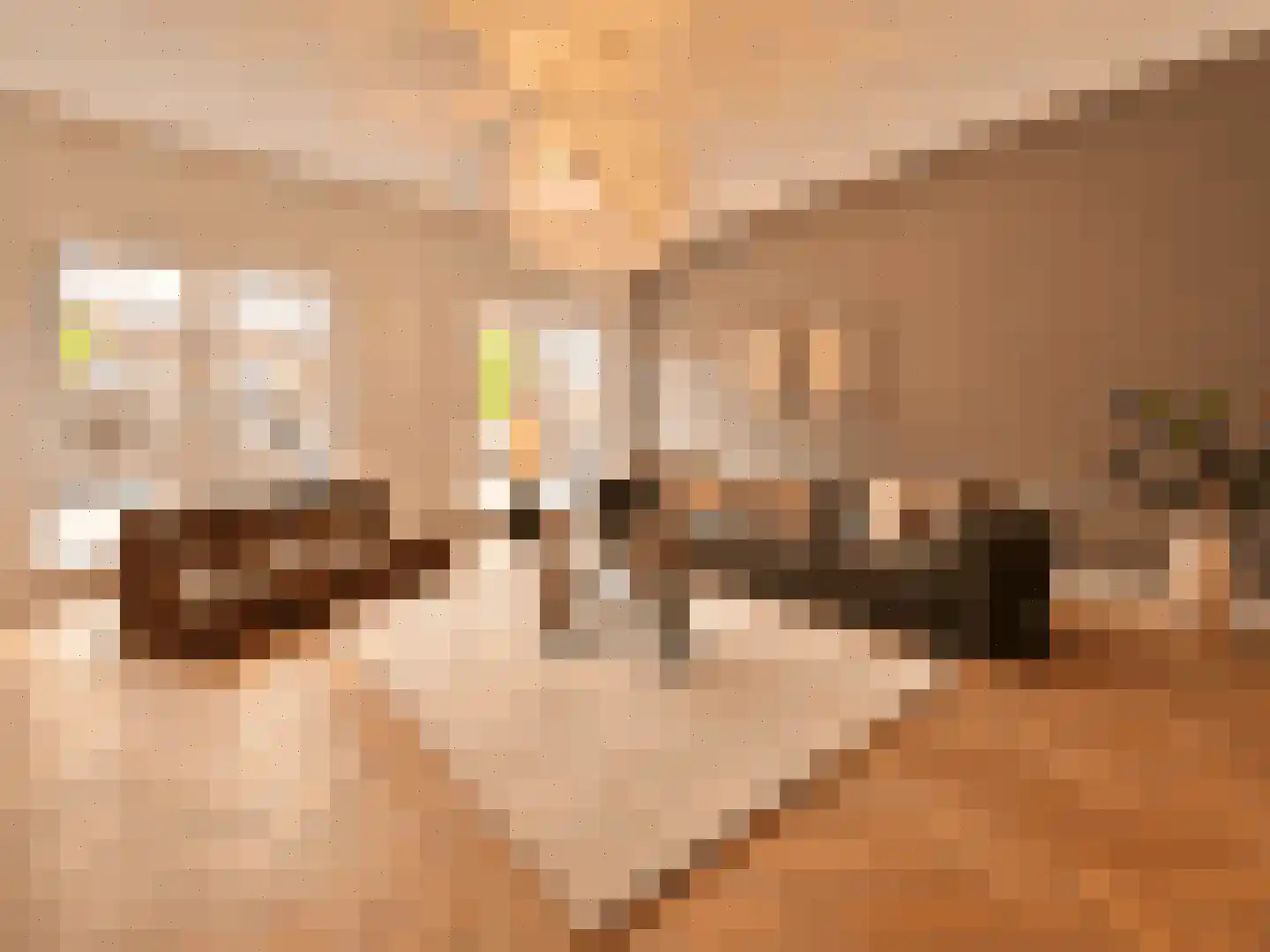 Revaleiland 425 Amsterdam thumbnail 4
