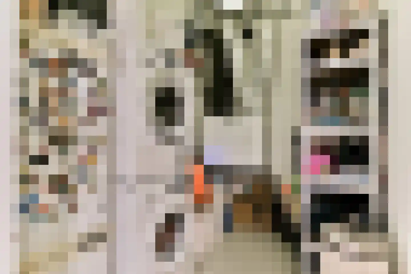 Revaleiland 425 Amsterdam thumbnail 40