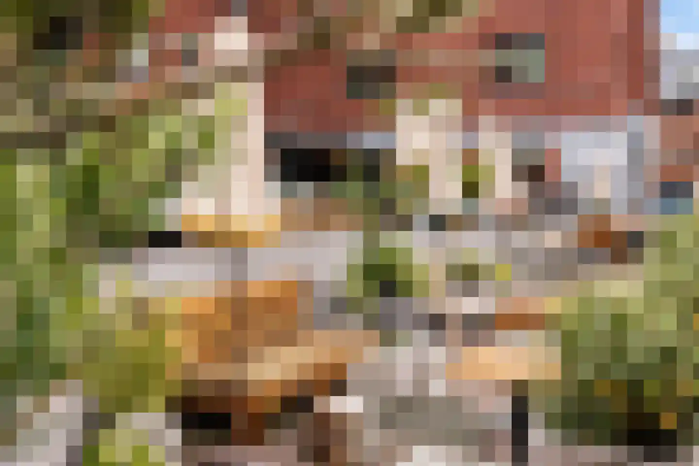 Revaleiland 425 Amsterdam thumbnail 49