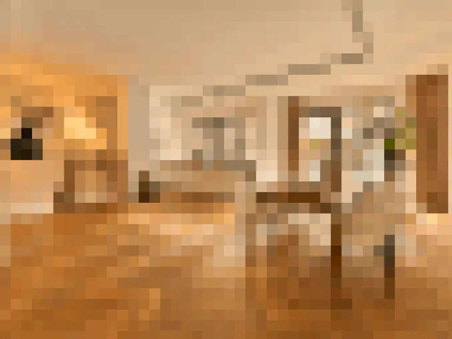 Revaleiland 425 Amsterdam thumbnail 5
