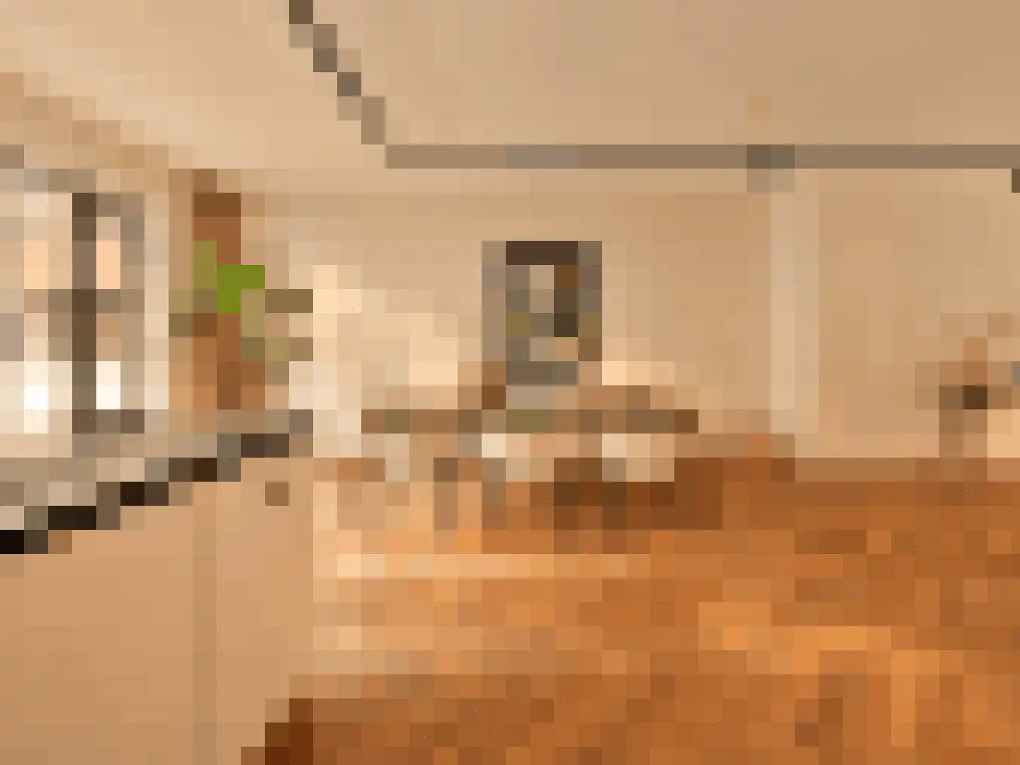 Revaleiland 425 Amsterdam thumbnail 8