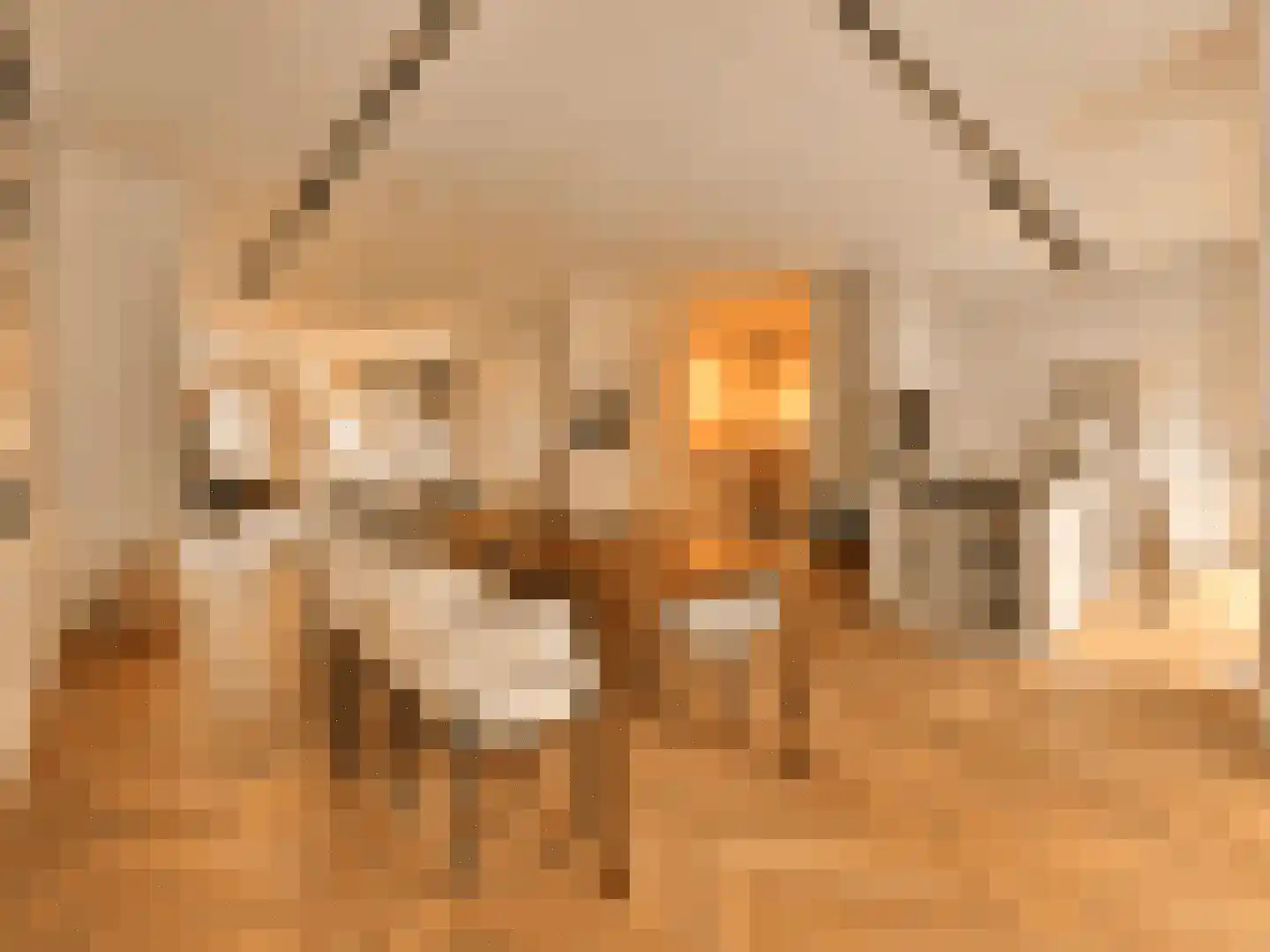 Revaleiland 425 Amsterdam thumbnail 9