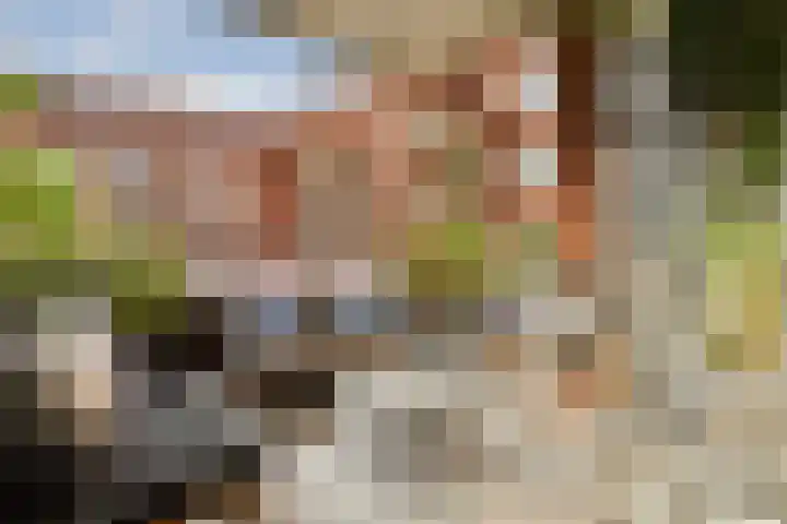 Revaleiland 429 Amsterdam thumbnail 13