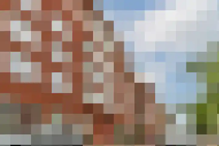 Revaleiland 429 Amsterdam thumbnail 28