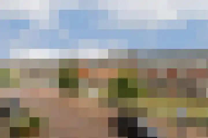 Revaleiland 429 Amsterdam thumbnail 30
