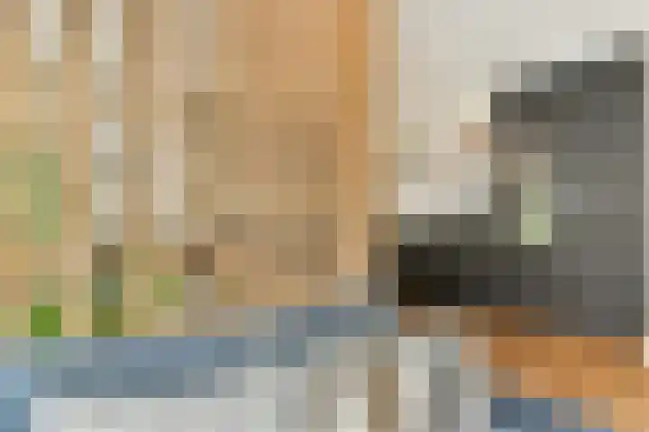 Revaleiland 429 Amsterdam thumbnail 4