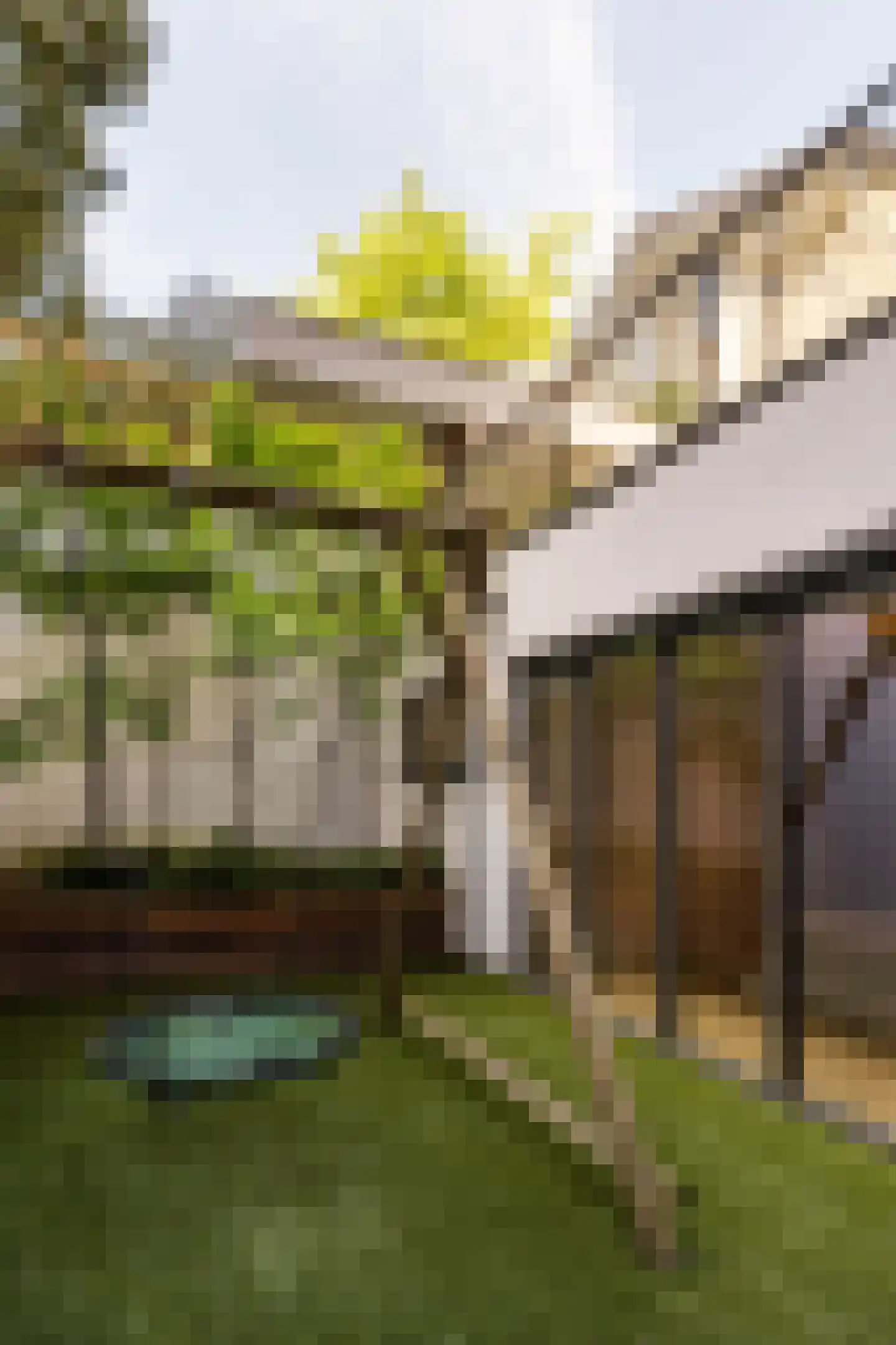 Revaleiland 450 Amsterdam thumbnail 25