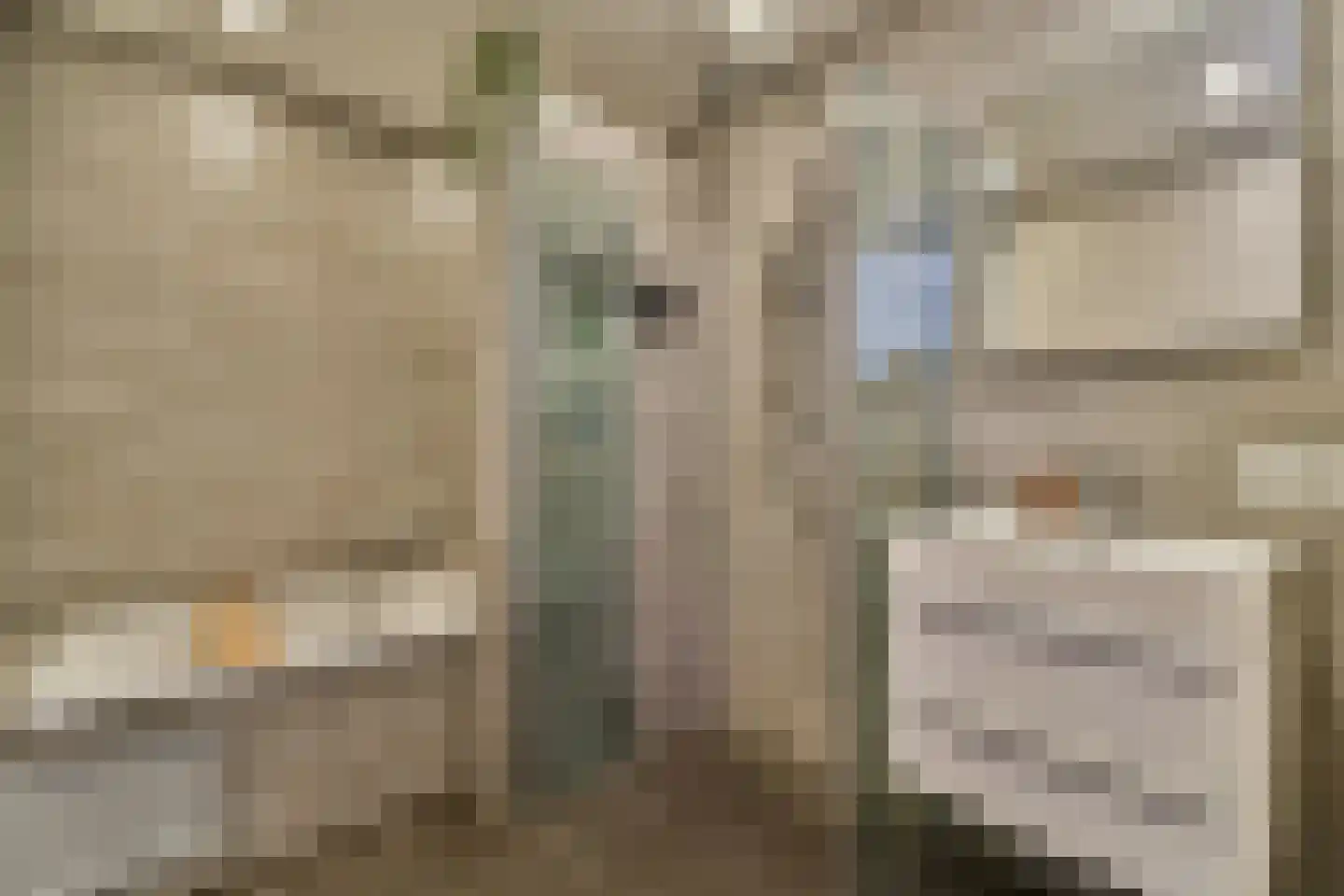 Revaleiland 454 Amsterdam thumbnail 5