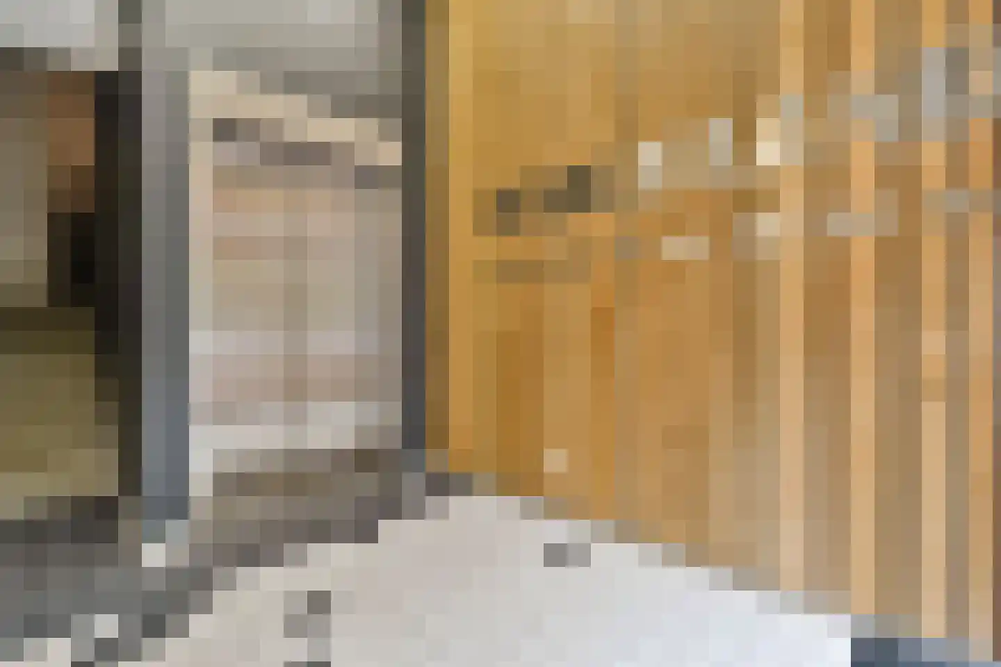 Revaleiland 454 Amsterdam thumbnail 8