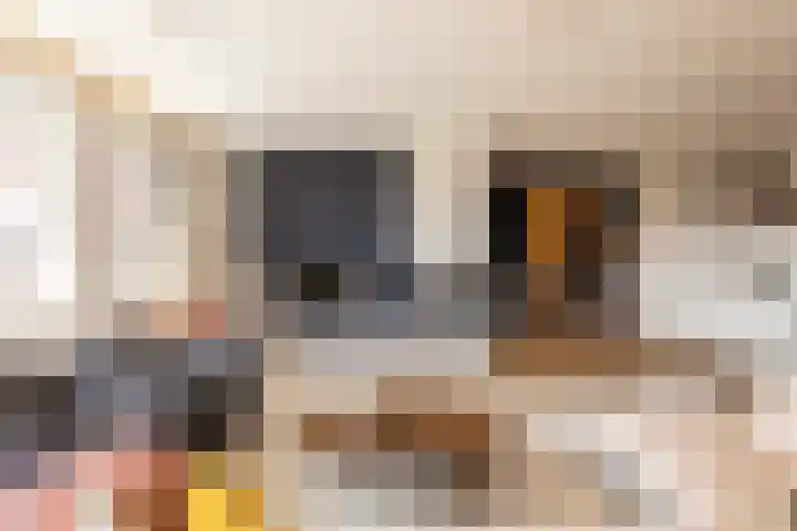 Revaleiland 486 Amsterdam thumbnail 12