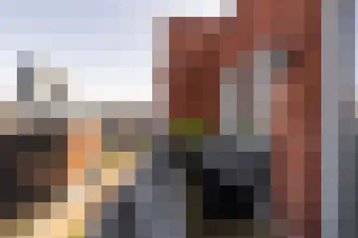 Revaleiland 486 Amsterdam thumbnail 18