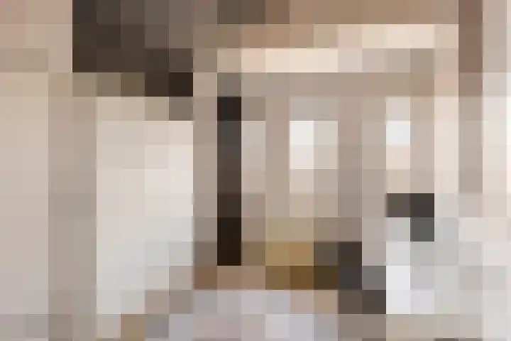 Revaleiland 486 Amsterdam thumbnail 29