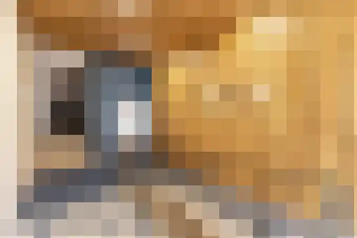Revaleiland 486 Amsterdam thumbnail 32