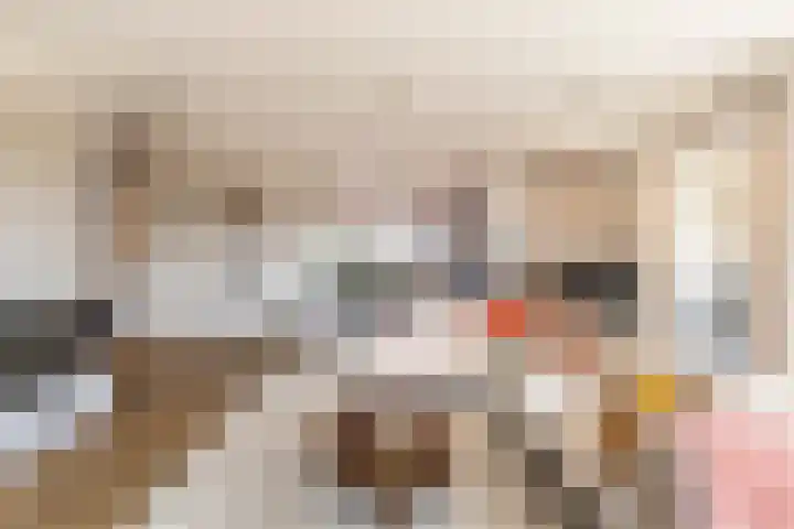 Revaleiland 486 Amsterdam thumbnail 37