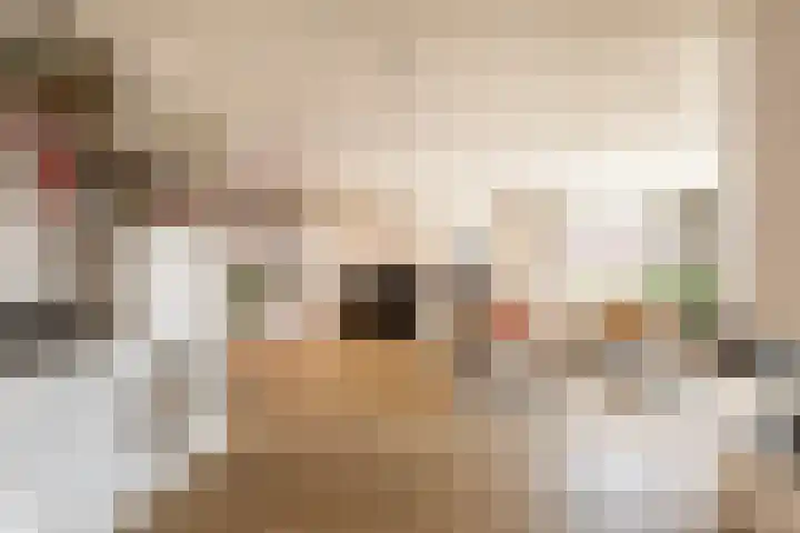 Revaleiland 486 Amsterdam thumbnail 5