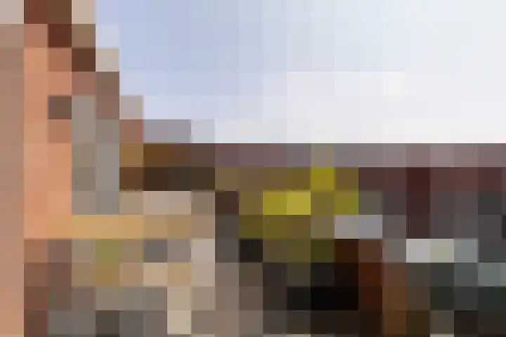 Revaleiland 486 Amsterdam thumbnail 8