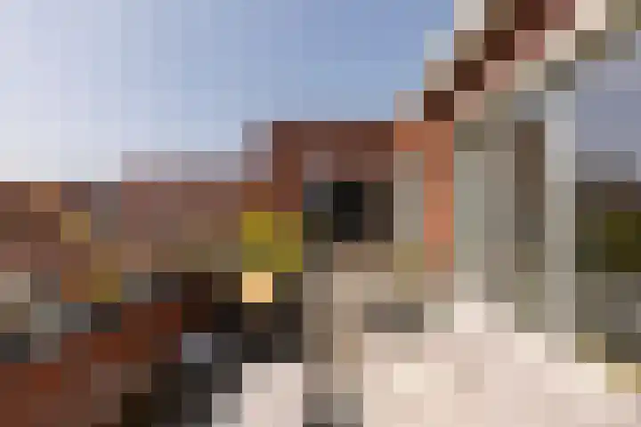 Revaleiland 486 Amsterdam thumbnail 9