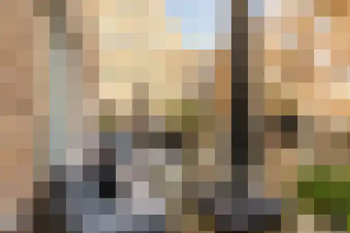 Revaleiland 53 Amsterdam thumbnail 10