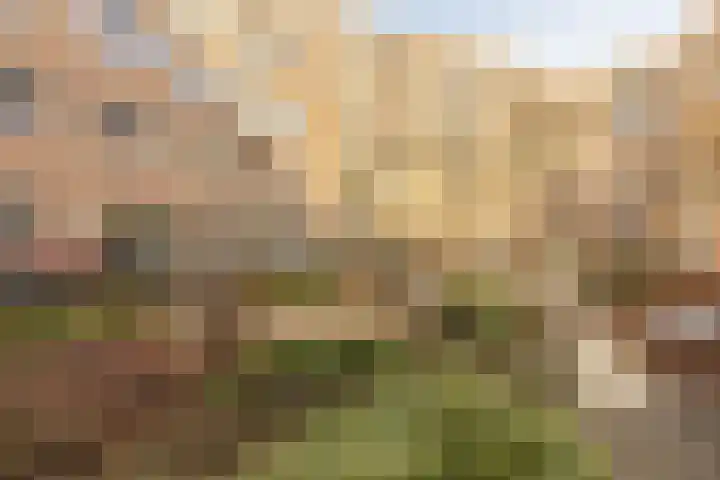 Revaleiland 53 Amsterdam thumbnail 11