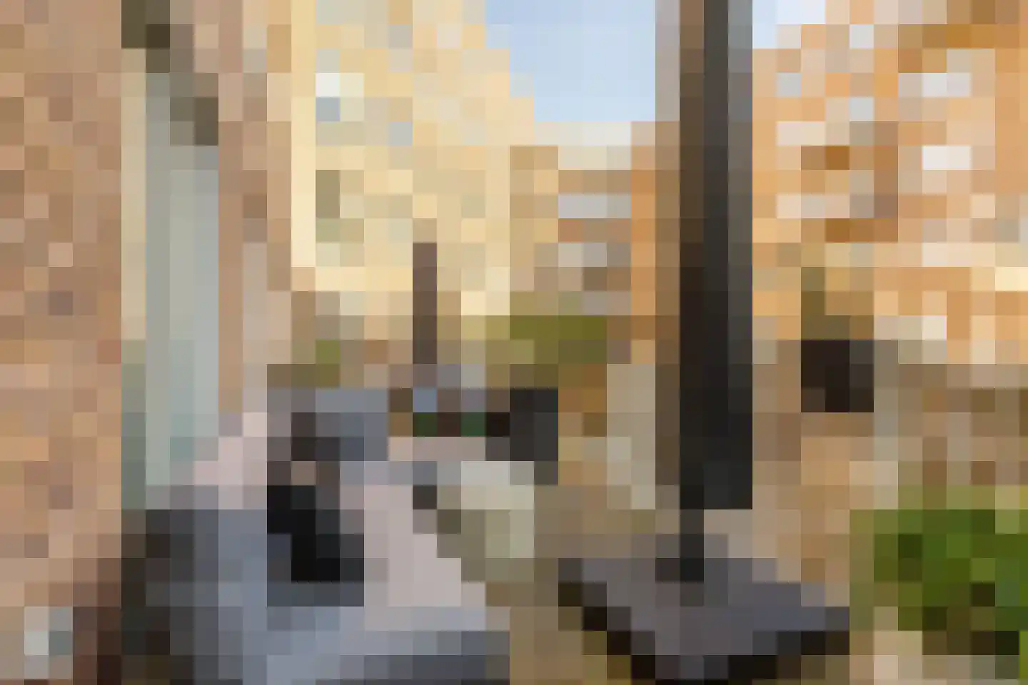 Revaleiland 53 Amsterdam thumbnail 11