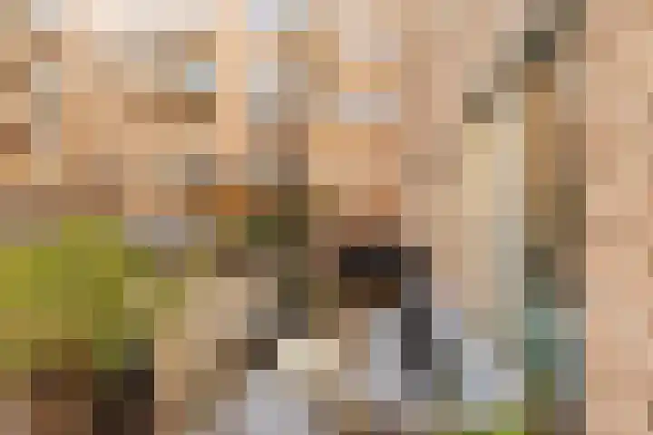 Revaleiland 53 Amsterdam thumbnail 12