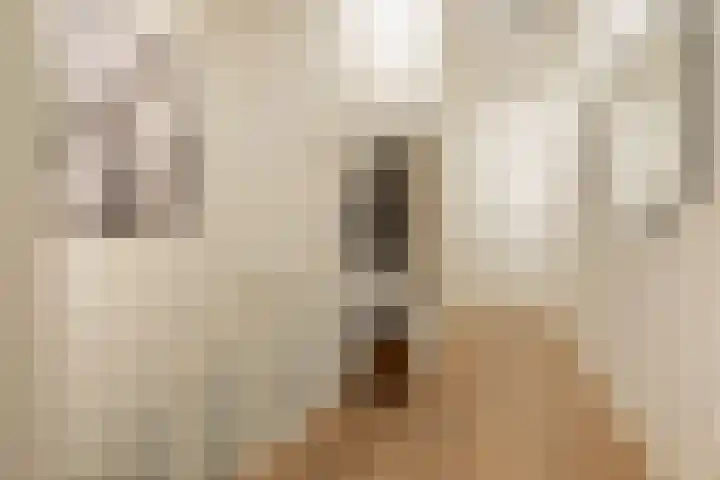 Revaleiland 53 Amsterdam thumbnail 14